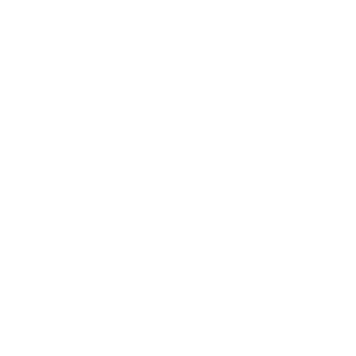 Felis Minor Studios Photography